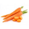 Морква вагова